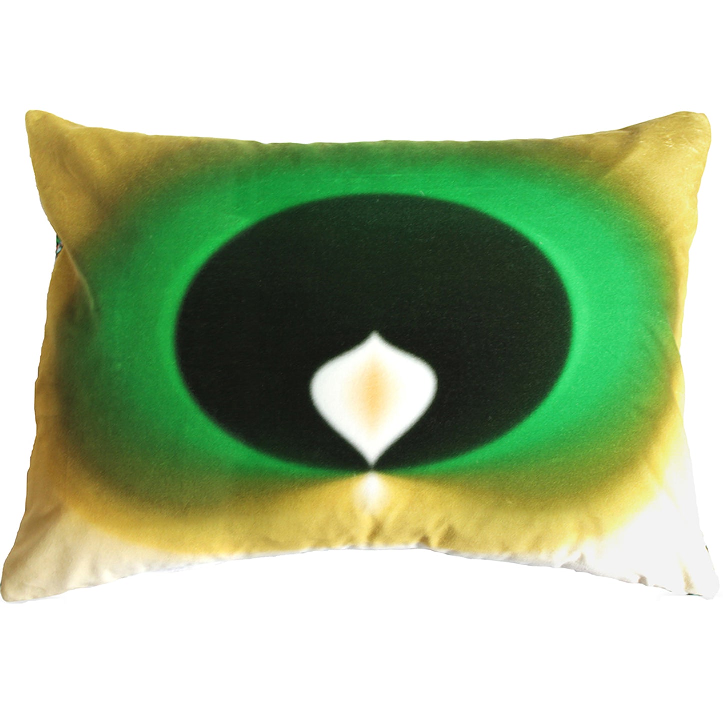 Indian Pitta Velvet Cushion Cover