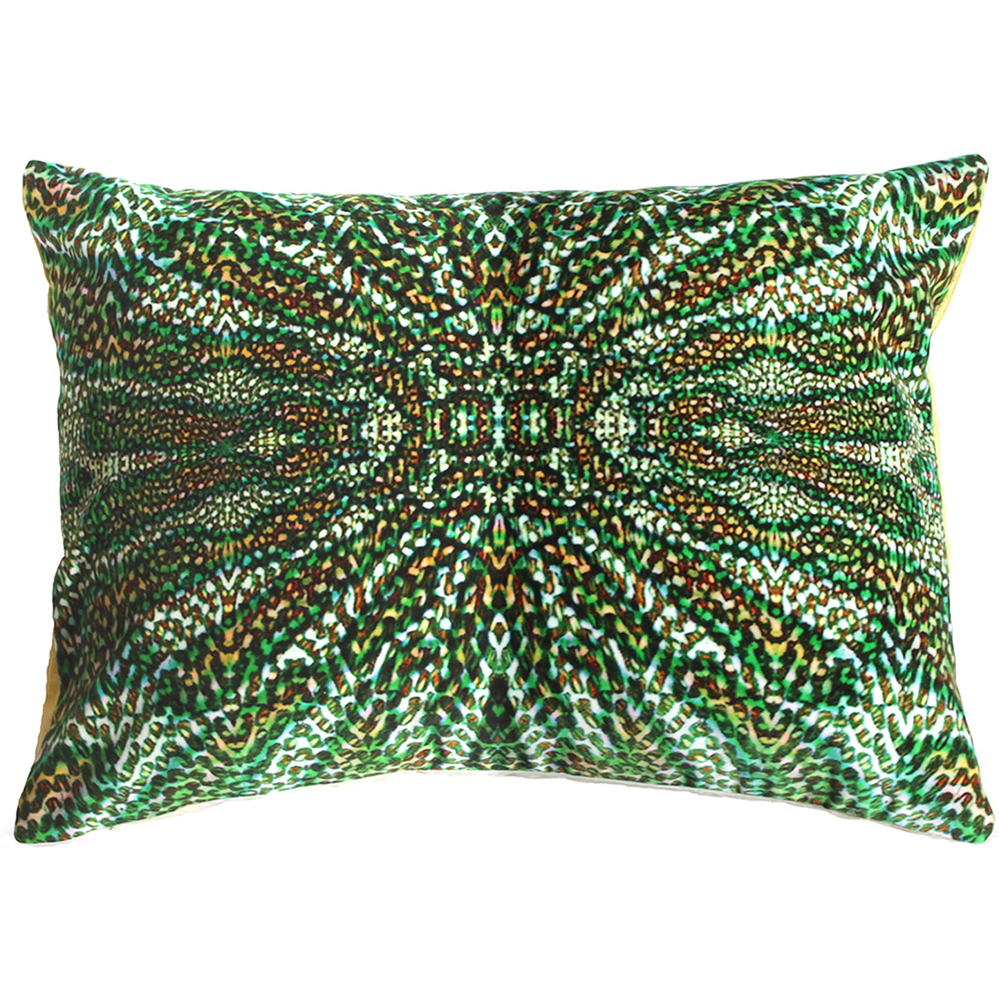 Indian Pitta Velvet Cushion Cover
