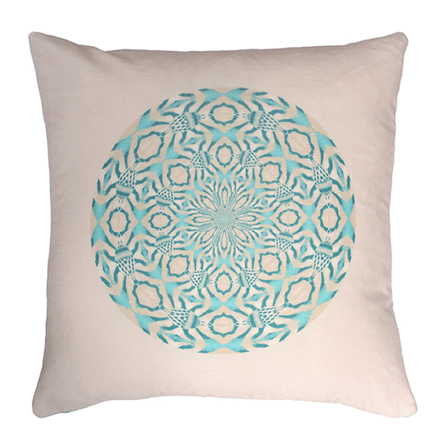 Indian Roller Velvet Cushion Cover