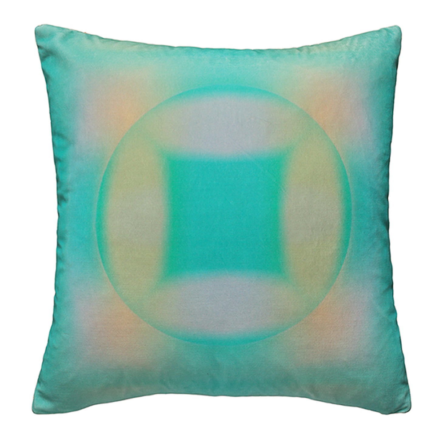Indian Roller Velvet Cushion Cover