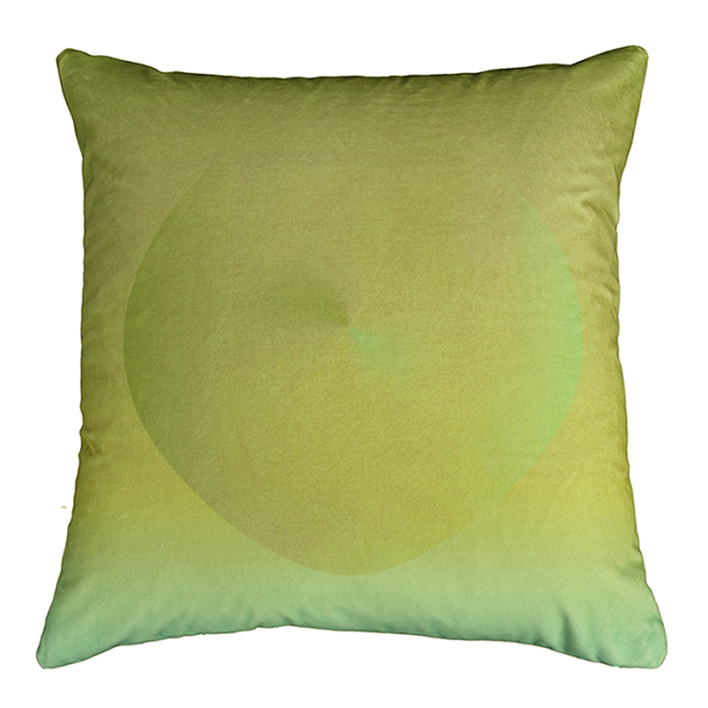 Pin Tailed Green Pigeon Velvet Cushion Cover