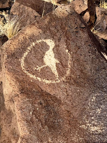 Ancient rock painting of a bird inside a circle