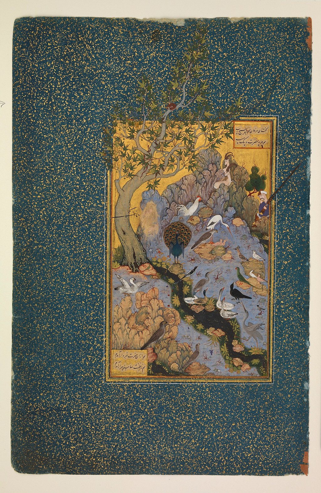 Old Cover for te conference of the birds