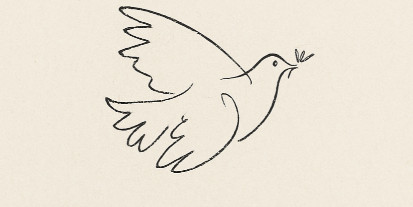Picasso’s dove sketch representing peace